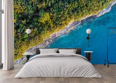 Coastal area with blue clear water and forest on land - aerial view taken by drone Wall mural