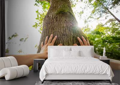 Personal perspective of a man touching a tree Wall mural