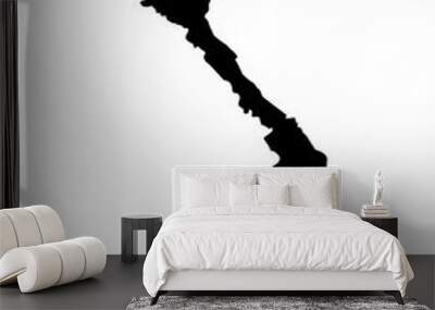 vietnam map silhouette on transparent background Wall mural