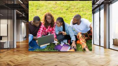 group of black college students studying outdoor in a park together Wall mural