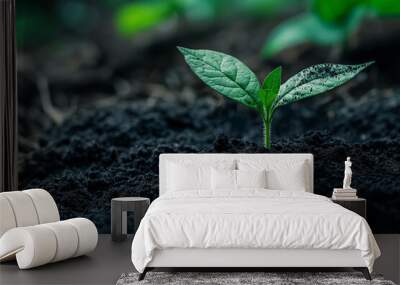 Young green plant growing in fertile soil. Wall mural