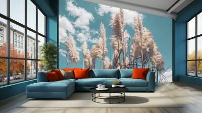 Pampa grass with light blue sky and clouds Wall mural