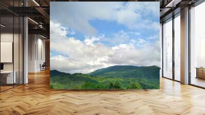 cloudy sky over summer hillside landscape Wall mural