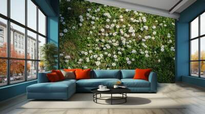 Daisy Bellis perennis Wall mural