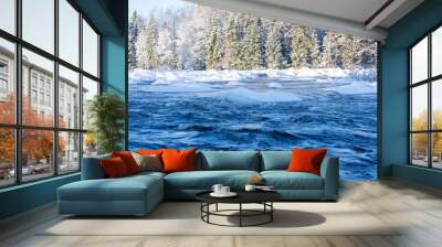 River landscape in winter Wall mural