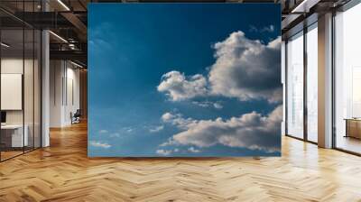 blue sky covered by a fine mist, with two light gray shaded cumulus clouds floating on the right side of the image. Wall mural