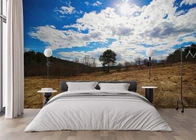 landscape with trees and clouds Wall mural