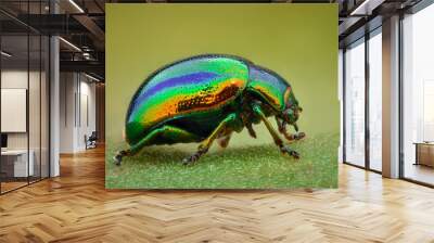 Extreme magnification - Green jewel beetle Wall mural