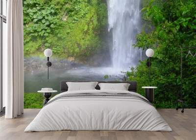 Waterfall in southern Chile Wall mural