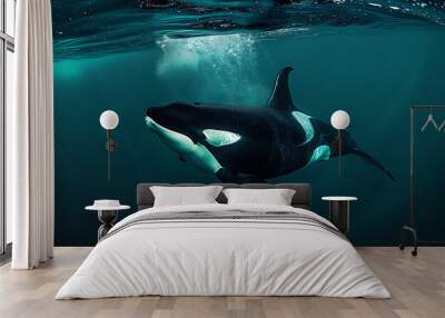 orca swimming in the ocean Wall mural