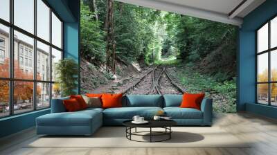 Aus zwei Bahnschienen im Wald wird eine Schiene Wall mural