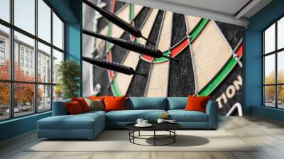 .darts game in detail. Darts strategy and rules Wall mural