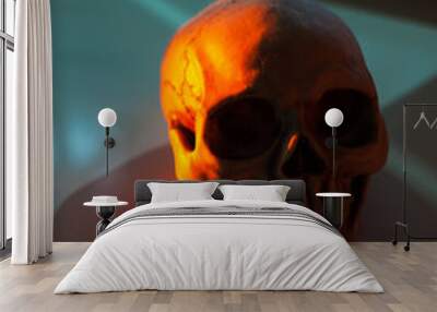 Still life with a skull human Wall mural