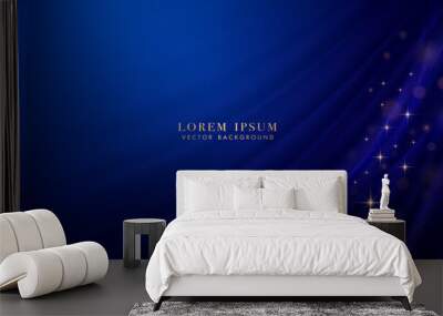 Blue curve with lines line element and bokeh, glitter light effect decoration on dark blue background Wall mural