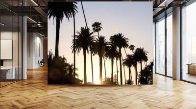 A view of palm trees during sunset in West Hollywood, California in summer time Wall mural