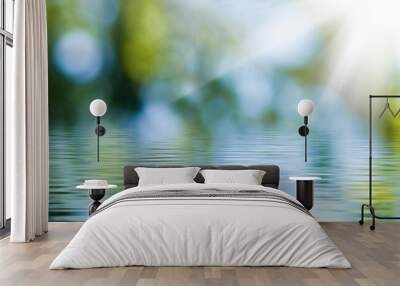 blurred image of natural background from water and plants Wall mural