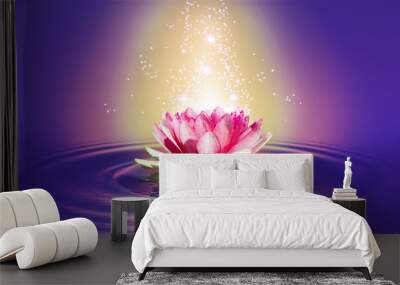 image of a lotus flower on the water closeup Wall mural