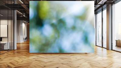 image of natural abstract background closeup Wall mural