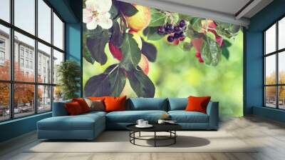 Image of sweet apples and cherries on a tree, Wall mural