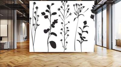 Set of elegant silhouettes of flowers, branches and leaves. Thin hand drawn vector botanical elements Wall mural