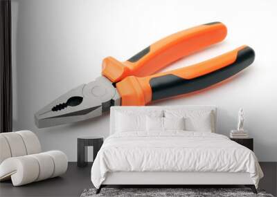 Combination pliers Wall mural