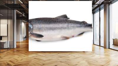 Fresh atlantic salmon fish Wall mural