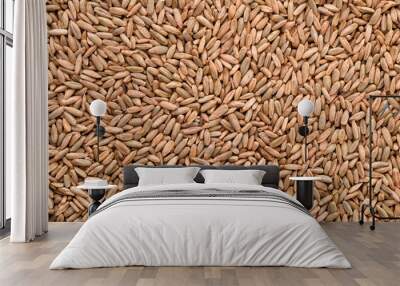 Natural rye grains background Wall mural