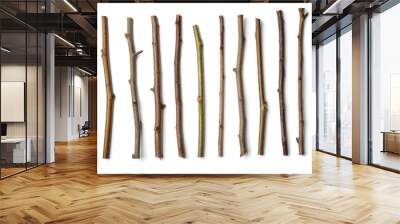 Row of dry wooden twigs Wall mural