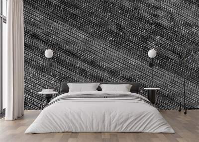 Beautiful texture background Black Shading Net helps filter sunlight for agricultural plants Wall mural