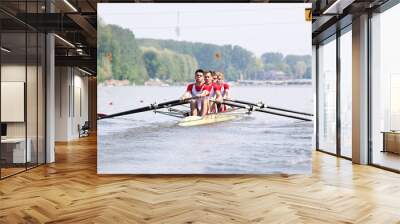 Rowing Regatta Wall mural