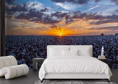 Sunset Over a Cotton Field Wall mural