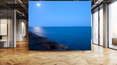 Full Moon Over The Sea Wall mural