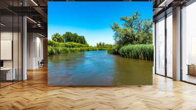 Creek in National park Hollands Biesbosch in Drimmelen. River Amer,  The Netherlands Wall mural