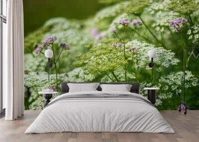 the beautiful common mountain valerian Wall mural