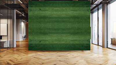 Abstract grunge old dark green painted wooden texture - wood background panorama long banner	 Wall mural