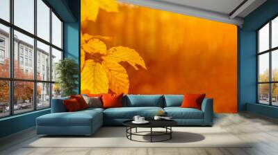 Amazing autumnal autumn background banner panorama landscape - Golden October -Fallen Book tree leaves illuminated by the evening / morning sun, with bokeh and yellow flares in the forest in Germany Wall mural