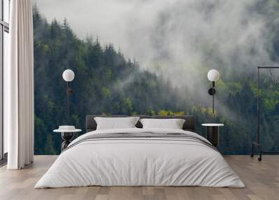 Amazing mystical rising fog forest trees landscape in black forest ( Schwarzwald ) Germany panorama banner - Dark mood Wall mural