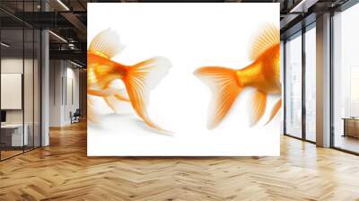 Animals gold fishes pets aquarium freshwater fish banner panorama long - Collection of goldfish (cyprinidae) swimming, isolated on white background, Generative Ai Wall mural