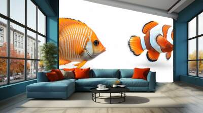 Animals popular fish pets aquarium salt water ocean sea fish banner panorama - Collection of different fishes, isolated on white background, Generative AI Wall mural