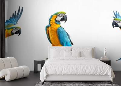 Animals wildlife zoo rainforest amazonas birds banner panorama long - Collection of colorful sitting and flying parrot macaw bird (Ara ararauna) isolated on white background, Generative Ai Wall mural