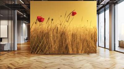 Beautiful landscape from golden field of Barley with Red Poppies (Papaver) in the warm light of the rising sun, panoramic background banner panorama. Wall mural