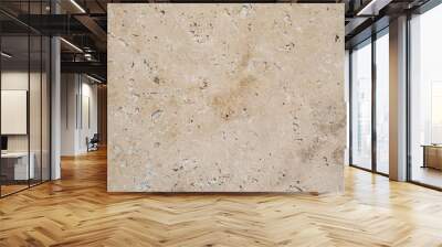 Beige brown natural stone texture background banner panorama Wall mural