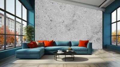 Gray rustic bright concrete stone cement texture background banner panorama Wall mural