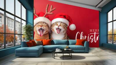 Merry Christmas concept holiday vacation winter greeting card with text - Cute two cats with santa claus hat and reindeer antlers, isolated on red background Wall mural