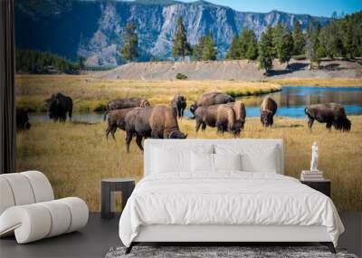 Grazing Herd Wall mural