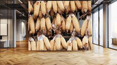 Corn cobs in the sun Wall mural