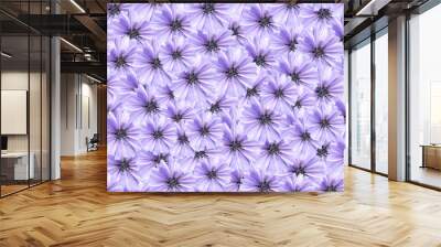 Blue Daisy Background Wall mural