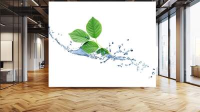 Green Leaves On Water Wall mural