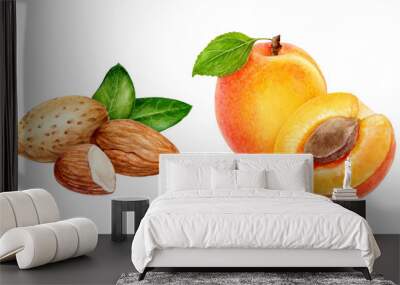 Apricot almond set composition watercolor isolated on white background Wall mural