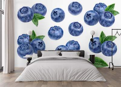 Blueberry big set composition watercolor illustration isolated on white background Wall mural